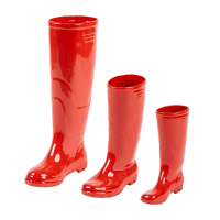 Bota Verm_Grupo 2